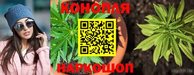 гидропоника Изобильный