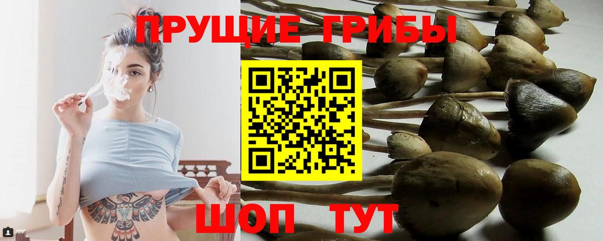 Лангепас  купить наркотики сайты  Вход с VPN  Псилоцибиновые грибы Cubensis 